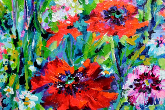 Papaveri Orientali Poppy Oriental Red Poppies