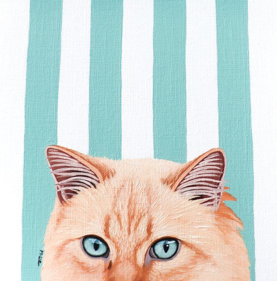 CAT SEE YOU 7