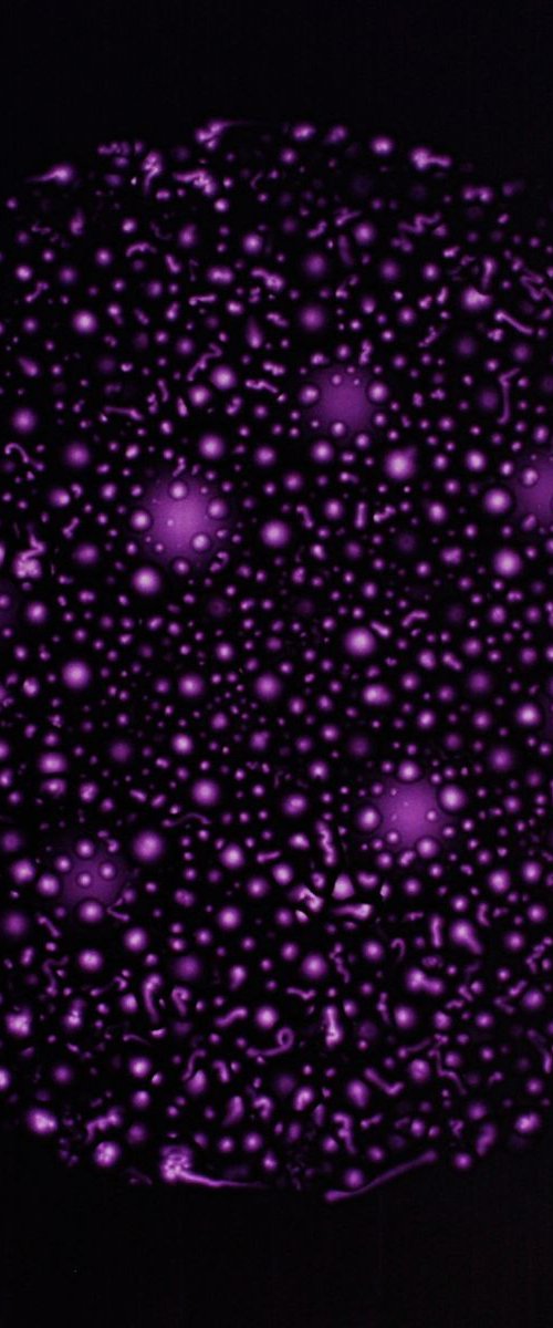 Star Cluster by Rupert Burt