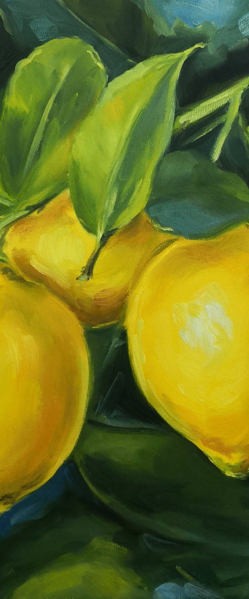 Lemons on a branch by Jane Lantsman