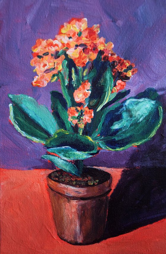 Acrylic painting Flower Kalanchoe, violet and orange