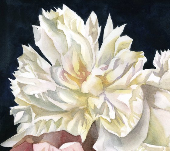 peonies with roses watercolor floral