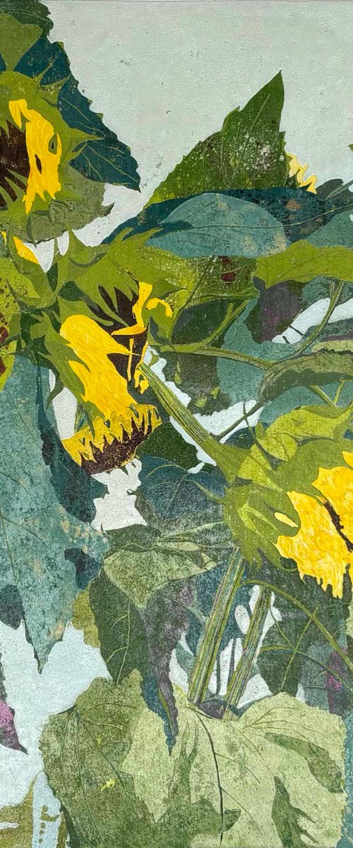 When Sunflowers fall - Linocut Print by C Staunton