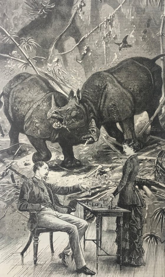 Rhino Chess Game