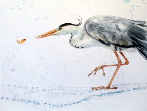 The Great Escape: Great Blue Heron and Goldfish - by Olga Beliaeva Watercolour
