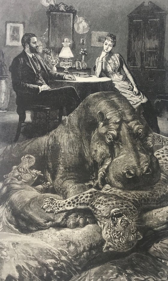Hippo Cheetah Marriage