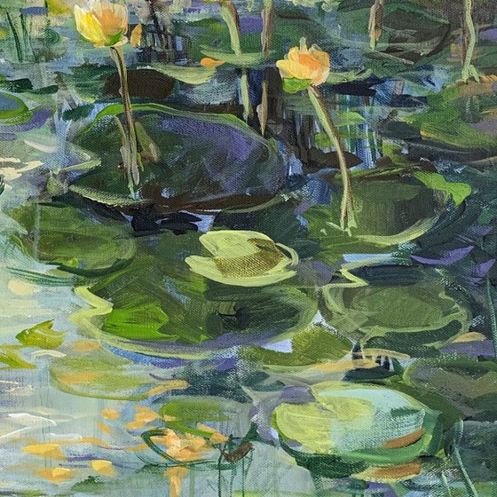 The water lily pond III