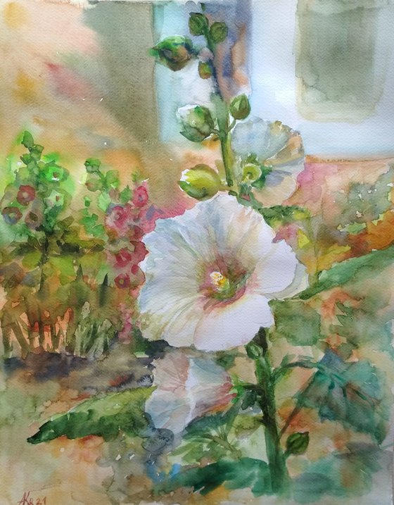 Hollyhock