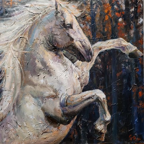 A White Horse, Impasto, Original Oil Painting, Contemporary, US, 2024 by QI Debrah