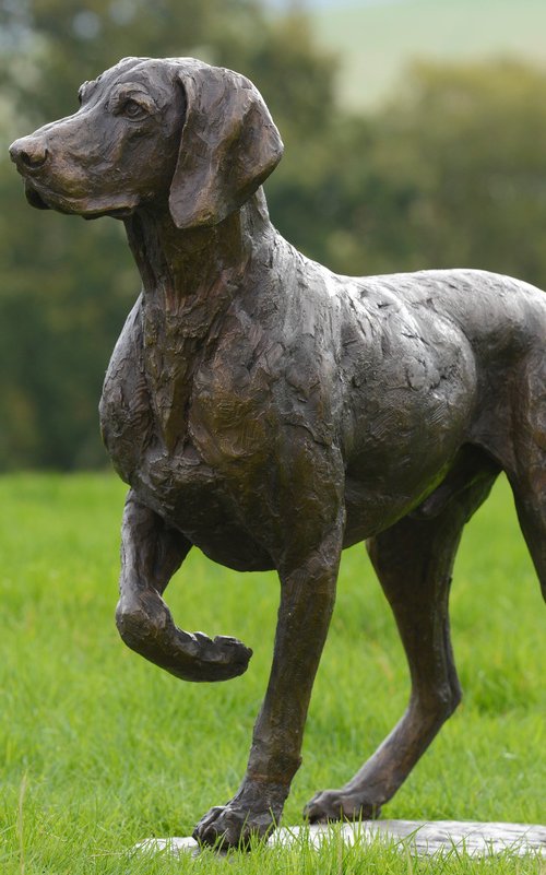 Pointing Weimaraner FB by Tanya Russell