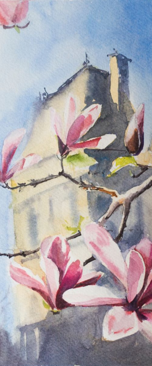 Magnolias in Paris by Sasha Romm