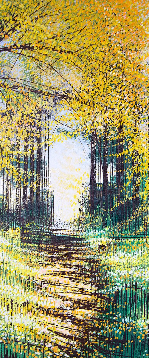 Sunlight Through Autumn Trees by Marc Todd