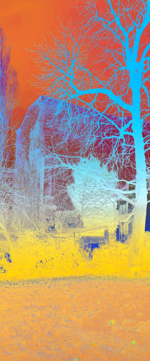 Not woodlands by Sumit Mehndiratta