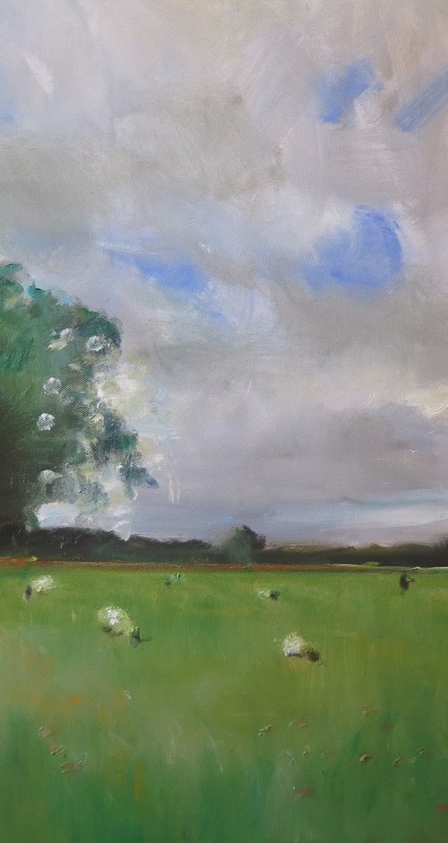 Tilmire Common by Malcolm Ludvigsen