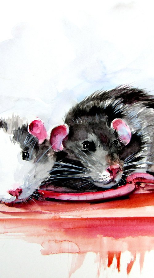 Rats by Kovács Anna Brigitta