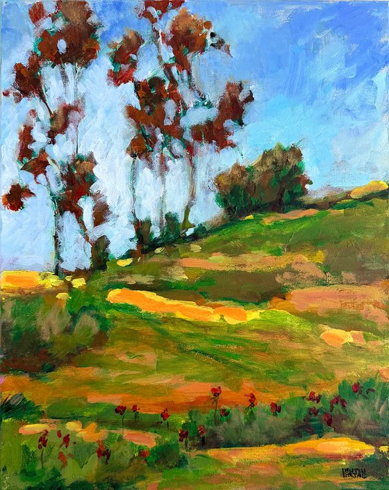 Eucalyptus on the Hill