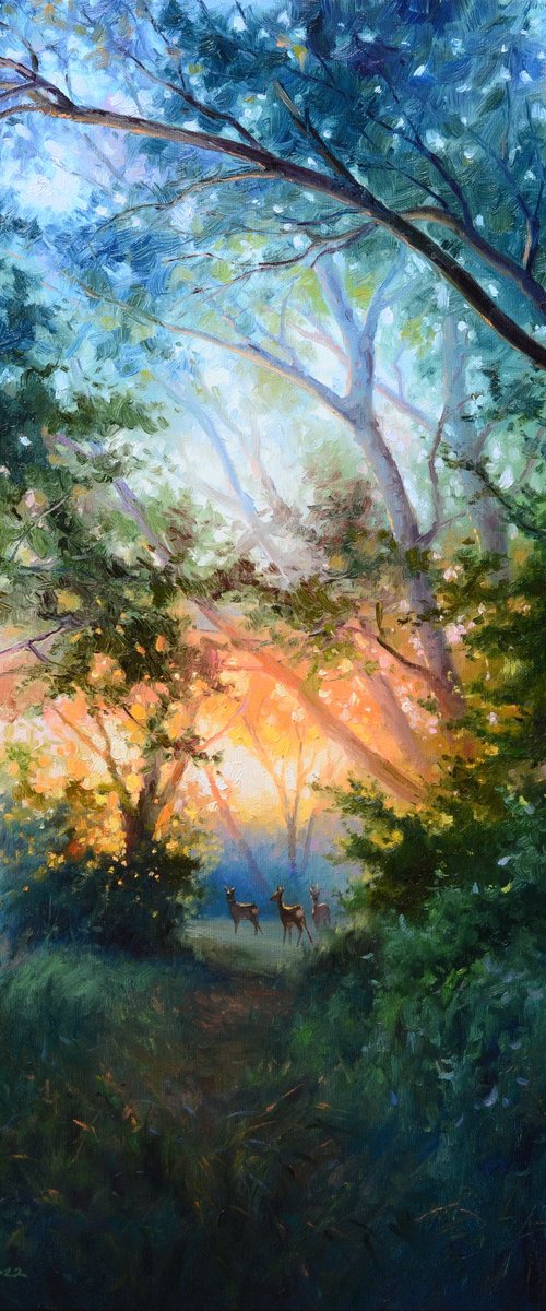 Magical dawn by Ruslan Kiprych