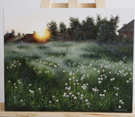 Dandelion Meadow at Sunrise