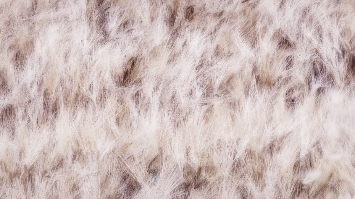 Impressionistic Photograph , Dancing Grains (Studio 3) By Karim Carella, 51 X 30, Artwork For Sale On Artfinder