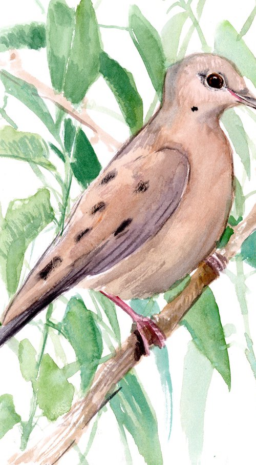 Mourning Dove by Suren Nersisyan