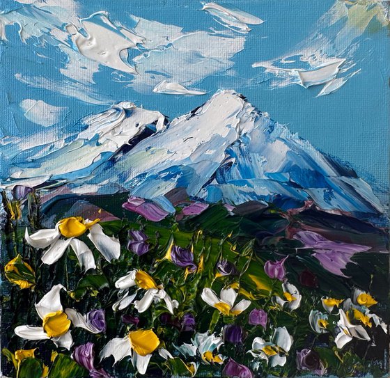 Daisies in the mountains