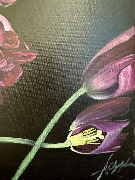 Scattered tulips