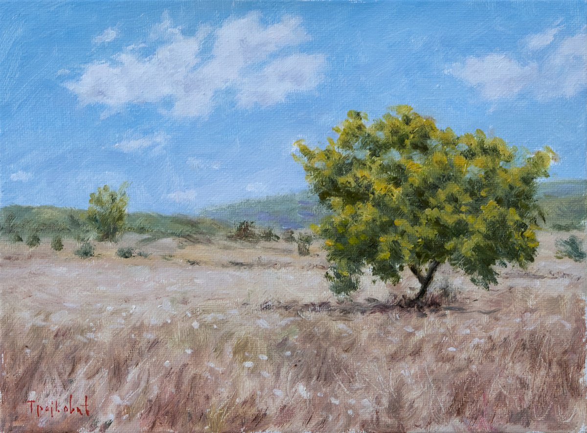 Impressionistic Landscape Oil Painting By Dejan Trajkovic, 9 X 7, Milivo, Original Artwork