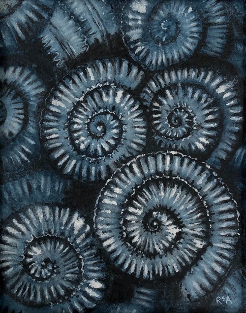 Ammonites II by Ruth Archer