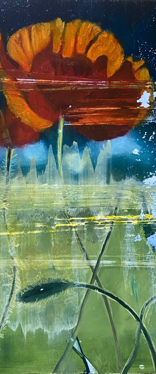 Red Poppy by Dennis Crayon