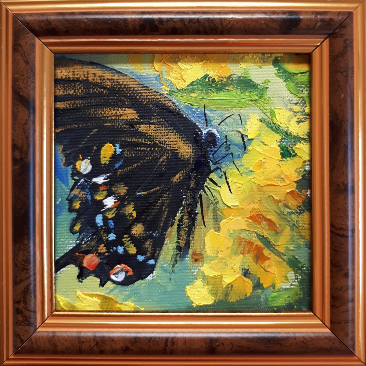 Butterfly 1 By Salana Art / Svetlana Samovarova, 5 X 5, Artwork For Sale On Artfinder