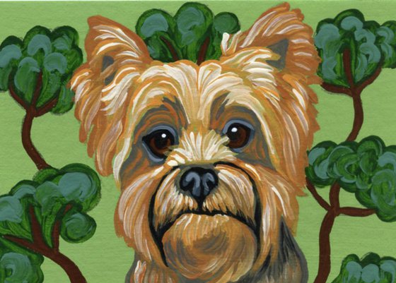 ACEO ATC Original Miniature Painting Yorkshire Terrier Yorkie Pet Dog Art-Carla Smale