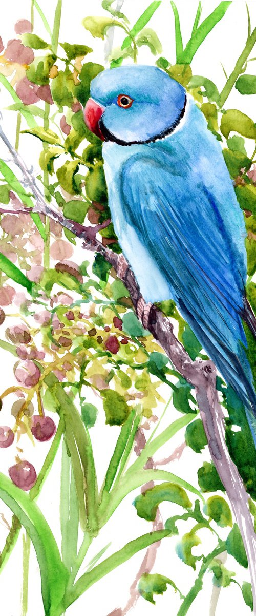 Indian blue ringneck parakeet by Suren Nersisyan