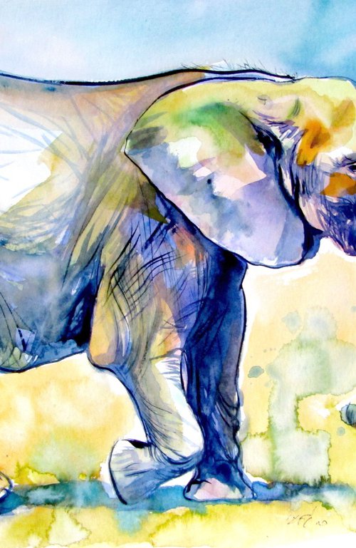 Majestic elephant alone III by Kovács Anna Brigitta