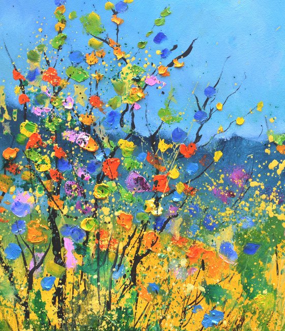 Summer wild flowers   -  6523