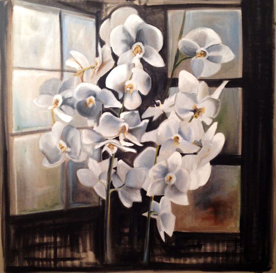 Orchids in an  interior - original oil on canvas - large size  80 x 80 cm (32' x 32 ' )