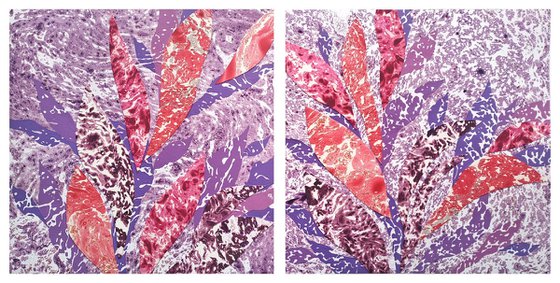 Set of 2 «Lavender Tropics»