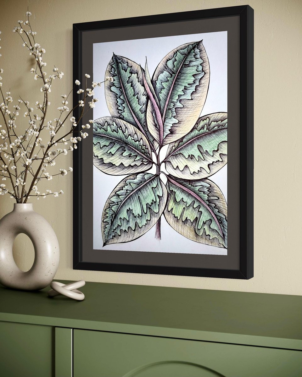 Illustrative Botanical Ink Drawing By Maria Tuzhilkina, 11 X 17", Ficus Belize, Original Artwork