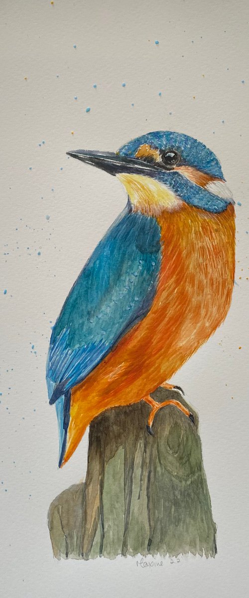 Kingfisher by Maxine Taylor