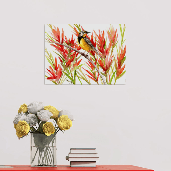 Meadowlark and Paintbrush