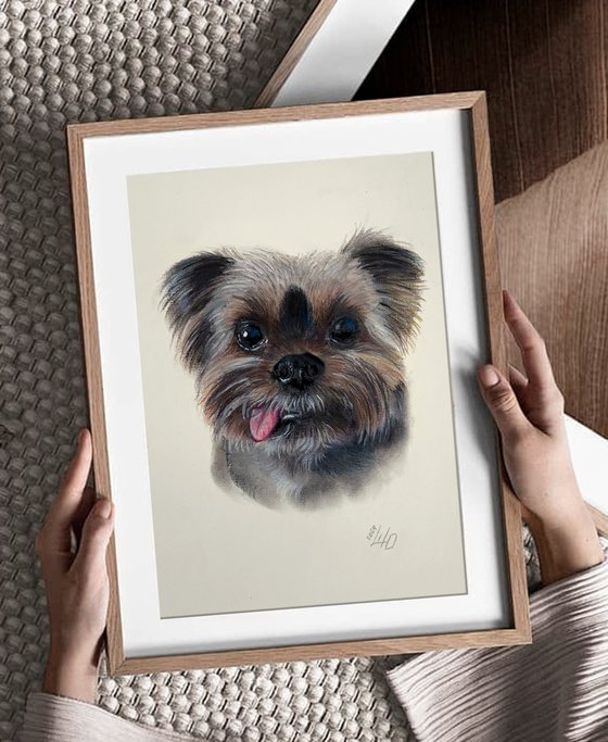 Yorkshire Terrier dog with Charming smile