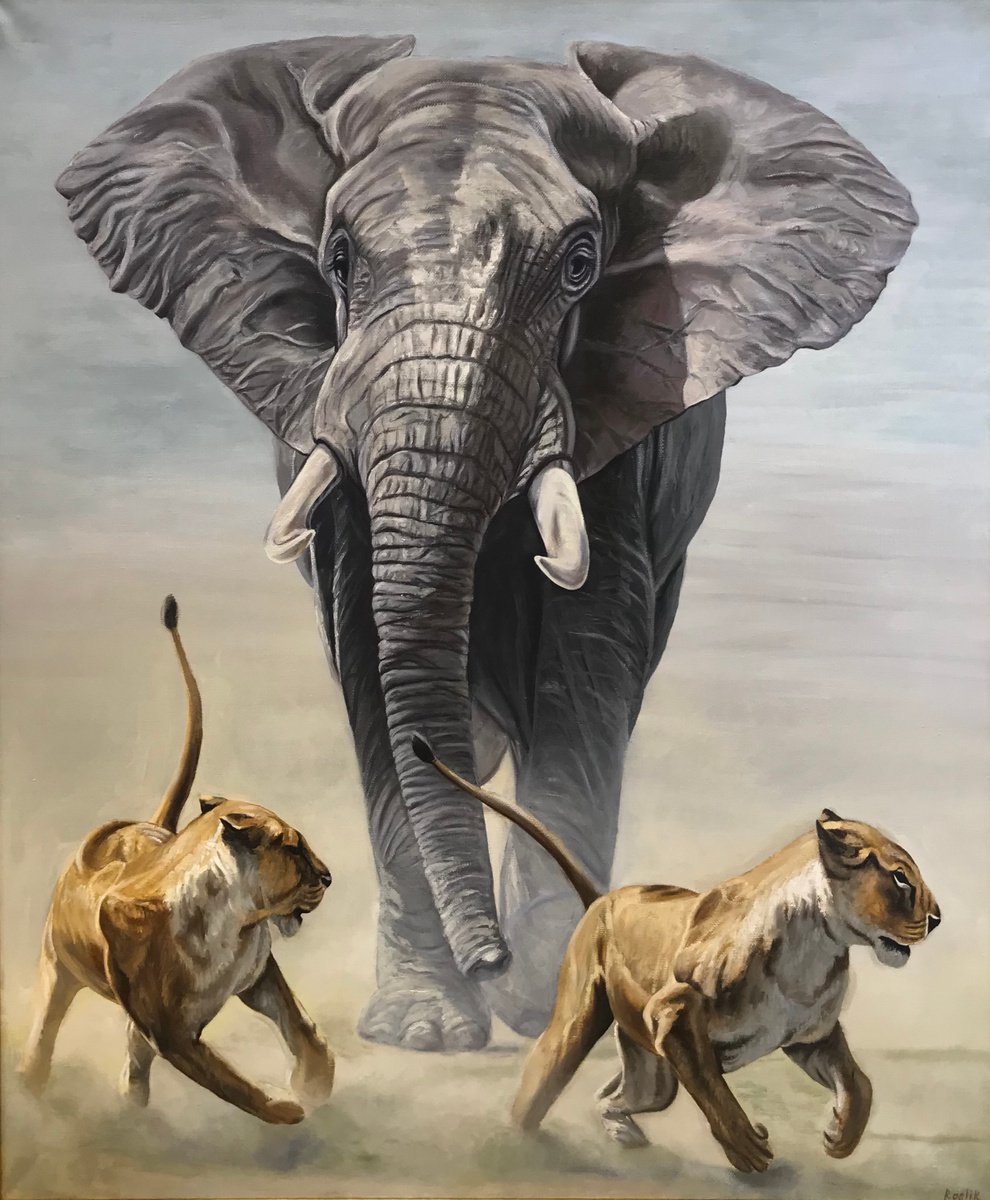 Original oil painting Elephant and lionesses - 100x120 cm (2015) by Evgeniya Roslik