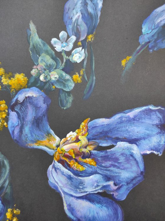 Blue tulips and yellow mimosa on women's day on black paper