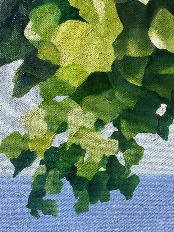 Through The Grapevine