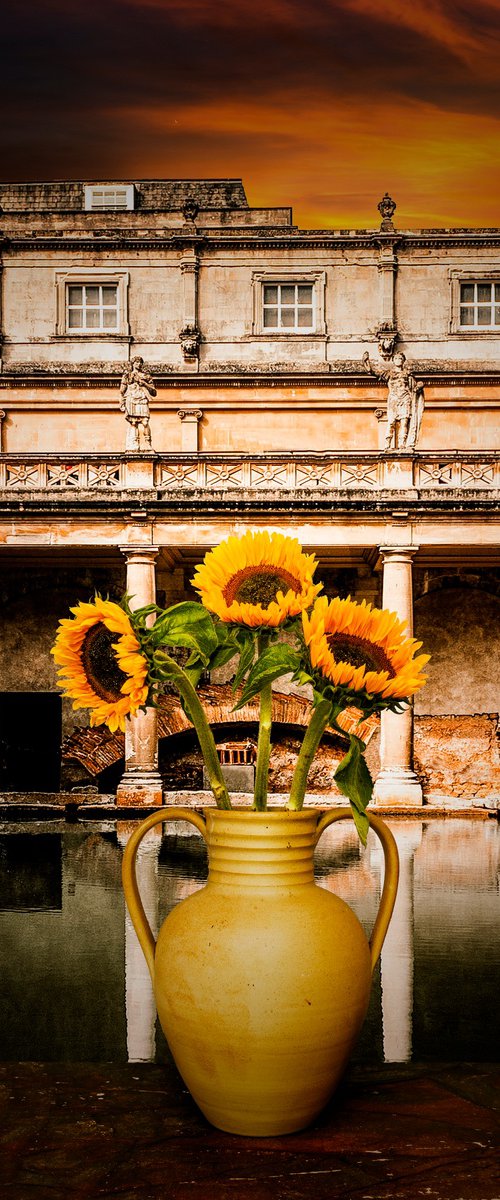'Sunflowers' - Still Life photography by Michael McHugh