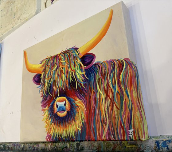 Harry the Highland Cow