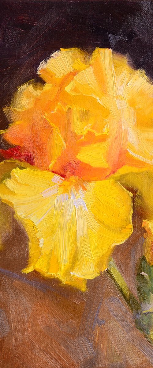 Yellow iris by Ruslan Kiprych