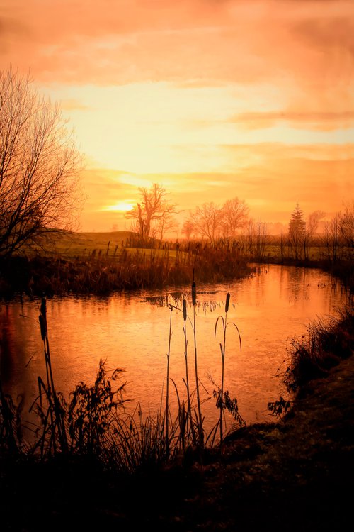 Sunset River by Martin  Fry