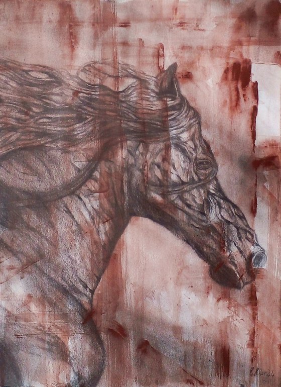 Horse Mixed Media