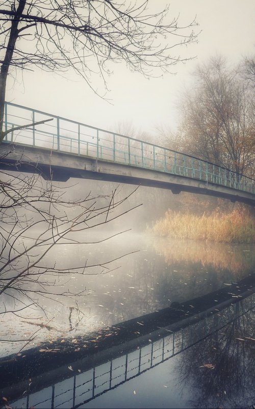 Foggy morning in the old park by Vlad Durniev