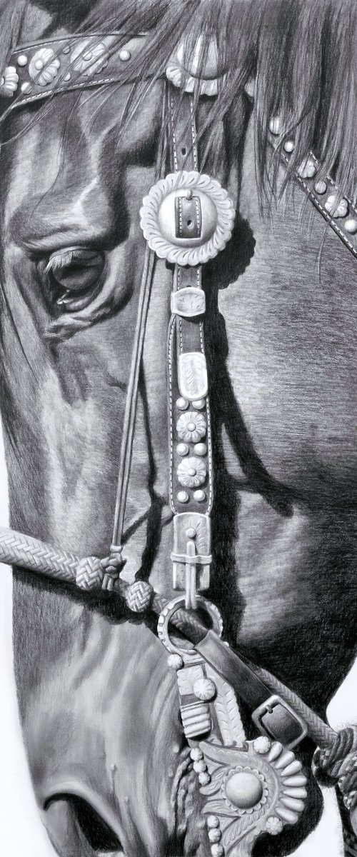 Concho by Maria D'Angelo